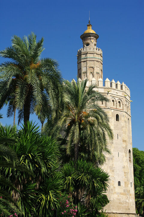 Torre des oro 